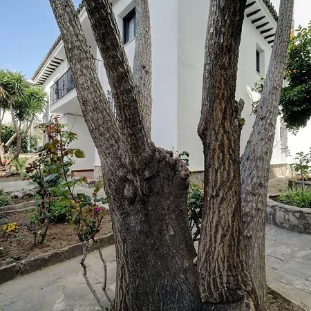 Apartmán Serali Parking Gratis Ronda